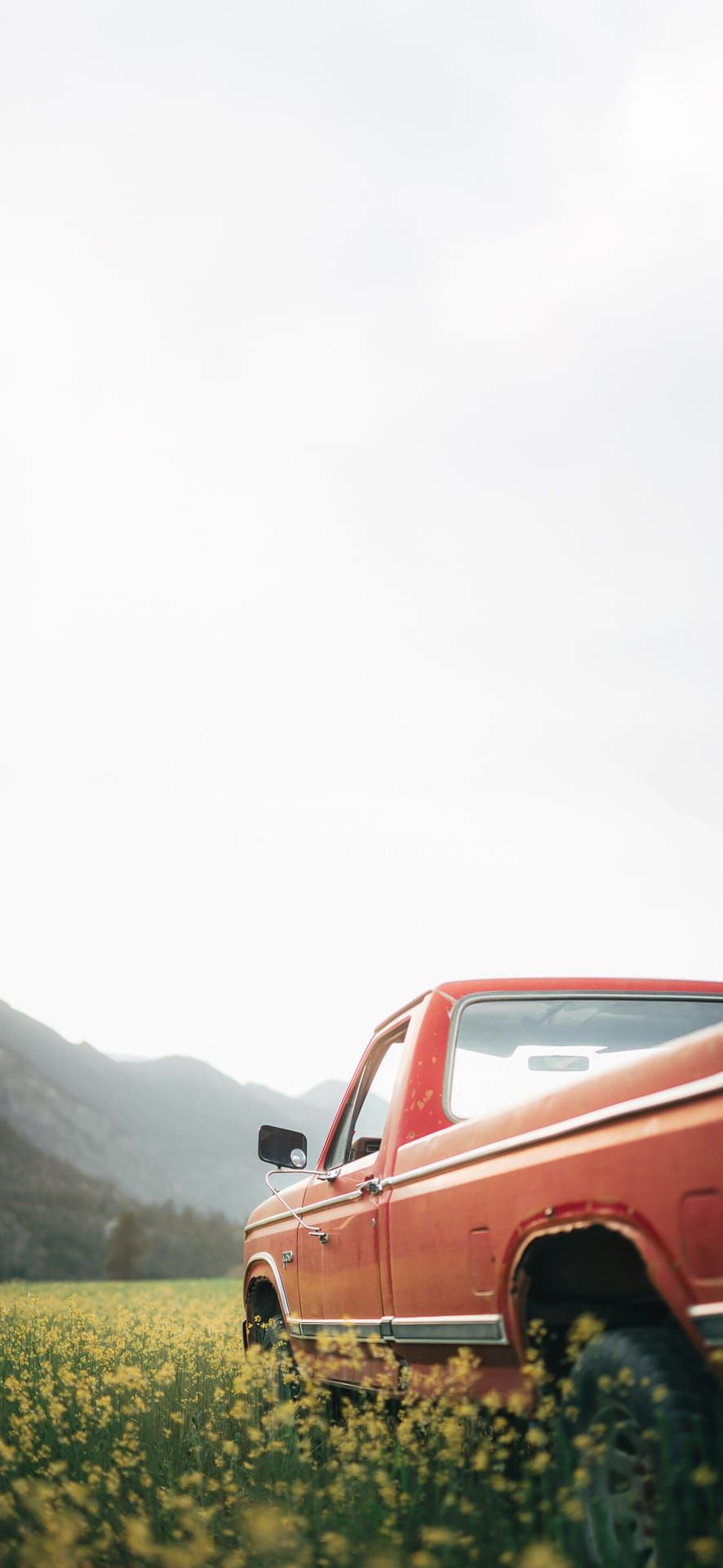 Vintage red truck parked in a wildflower field with mountains in the background, ideal for rustic countryside Phone Wallpaper.